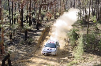 Dans les forêts d'eucalyptus pour le rallye d'Australie 