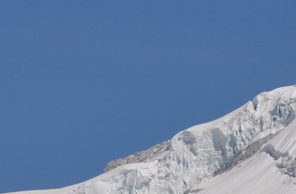 Un condor