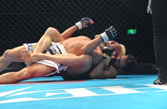 Heat, jiujitsu, kickboxing, mma, muaythai