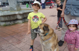 Albi qui a fait la joie des ces enfants