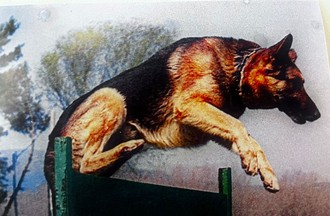 Photo de Pierre-André Perret