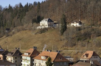 517686.jpg