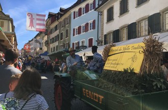 523035.jpg