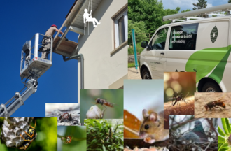 Lehmann EcoProtect Sàrl