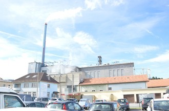 528451.jpg