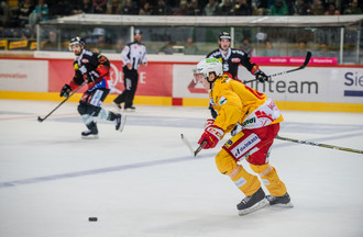 Janis Moser