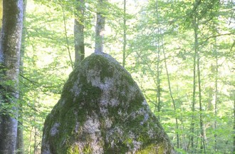 Le Grand Menhir de la forêt du Devens
