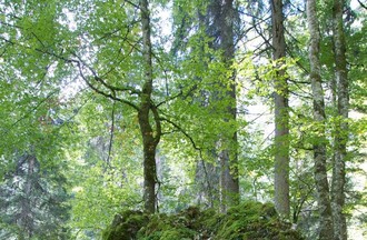 Vortex du Creux du Van