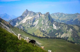 Photo du défi