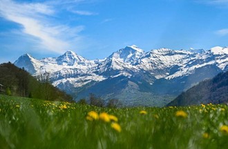 Photo du défi