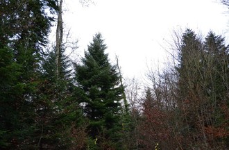 541697.jpg