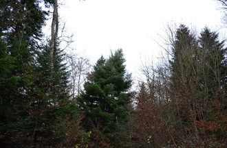 541698.jpg