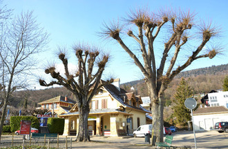 546496.jpg