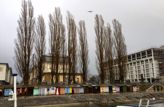 546498.jpg