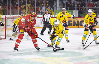 Kärki Jarno