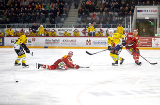Kärki Jarno