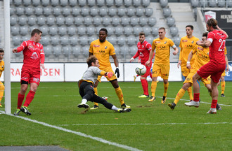 Severin Fankhauser dans ses oeuvres