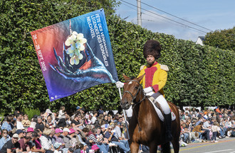 Fête des vendanges, vendanges