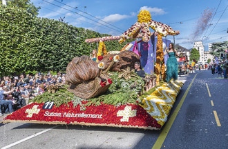 Fête des vendanges, vendanges