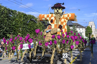 Fête des vendanges, vendanges