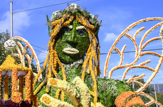 Fête des vendanges, vendanges