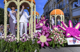 Fête des vendanges, vendanges