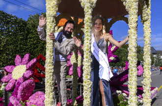 Fête des vendanges, vendanges
