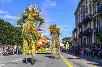 Fête des vendanges, vendanges