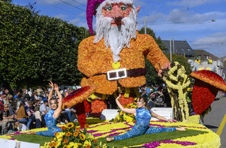 Fête des vendanges, vendanges