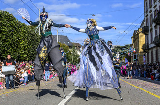 Fête des vendanges, vendanges