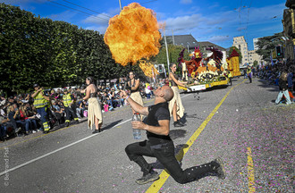 Fête des vendanges, vendanges