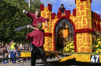 Fête des vendanges, vendanges
