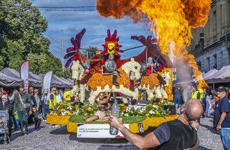 Fête des vendanges, vendanges