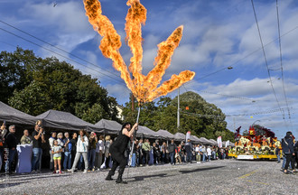 Fête des vendanges, vendanges