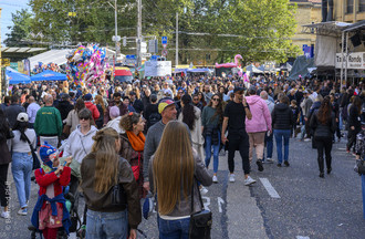 Fête des vendanges, vendanges