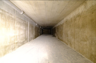 554903.jpg