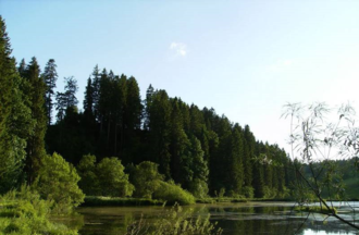 L'étang des Sagnes
