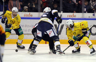 HCC - Langenthal