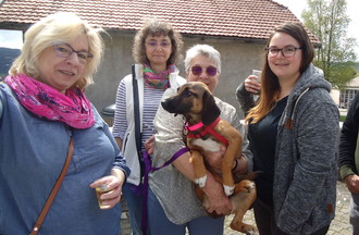La chienne Luna notre mascotte de la matinée