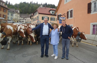 Sympa de se retrouver au milieu des vaches