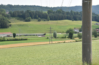 569540.jpg