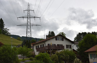 569541.jpg