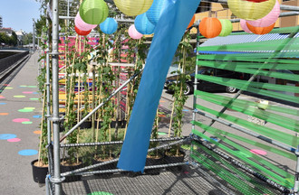 569701.jpg