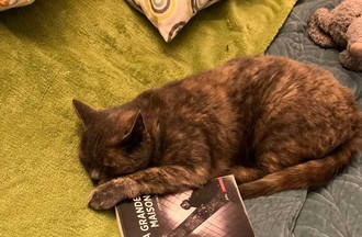 La photo gagnante du déi