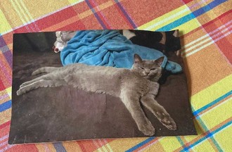 Photo du défi