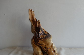 Fluidité