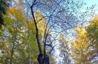Photo du défi