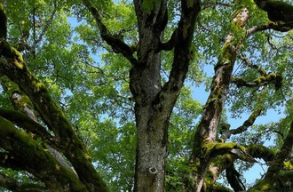 Photo du défi