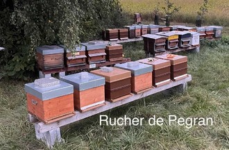 Photo du défi