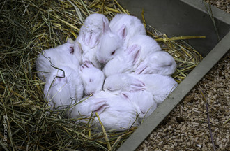 Comptoir, Comptoir Broyard, Payerne, Photoraphie Bertrand Pfaff